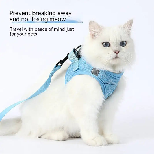 Fashion Dog Walking Chain Leash