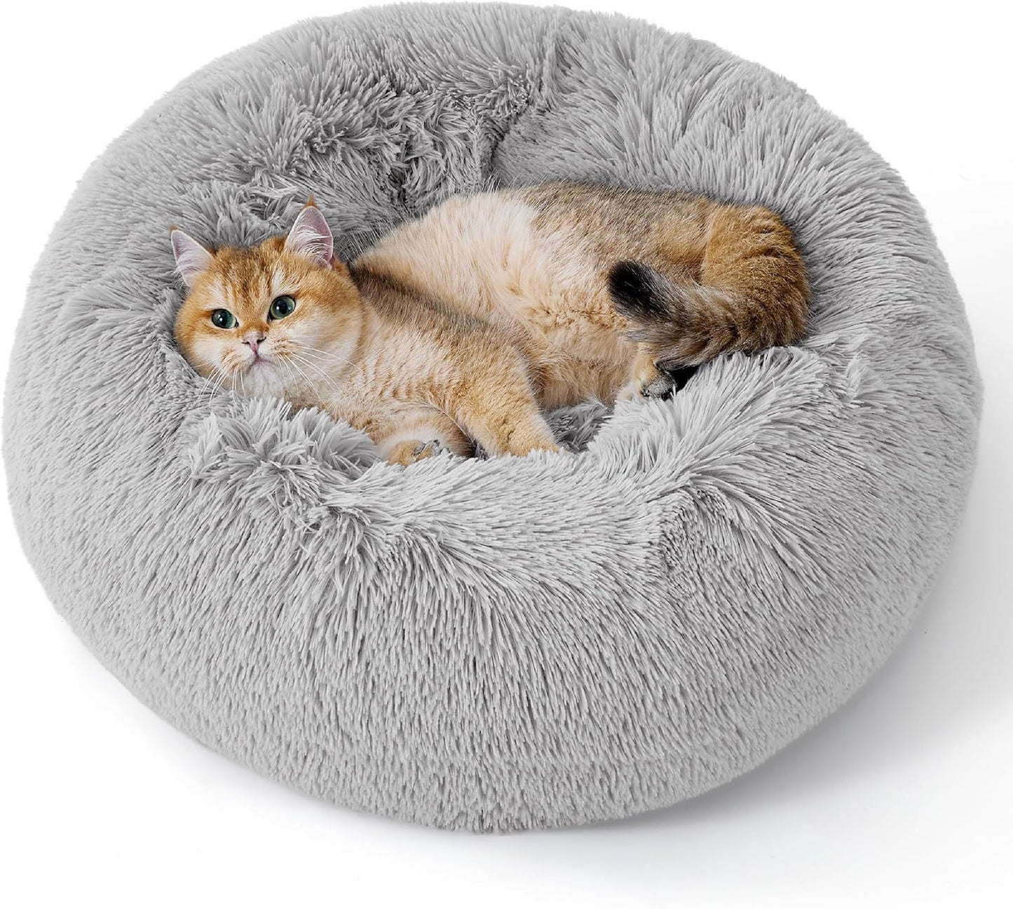 SnuggleNest Cloud Bed