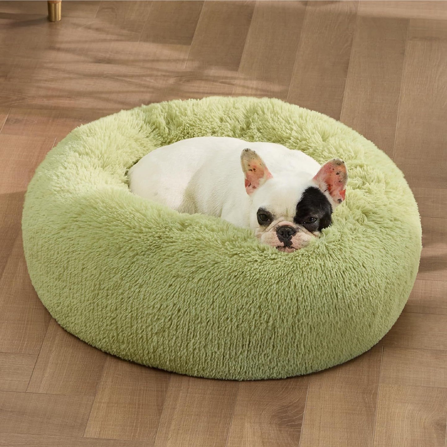 SnuggleNest Cloud Bed