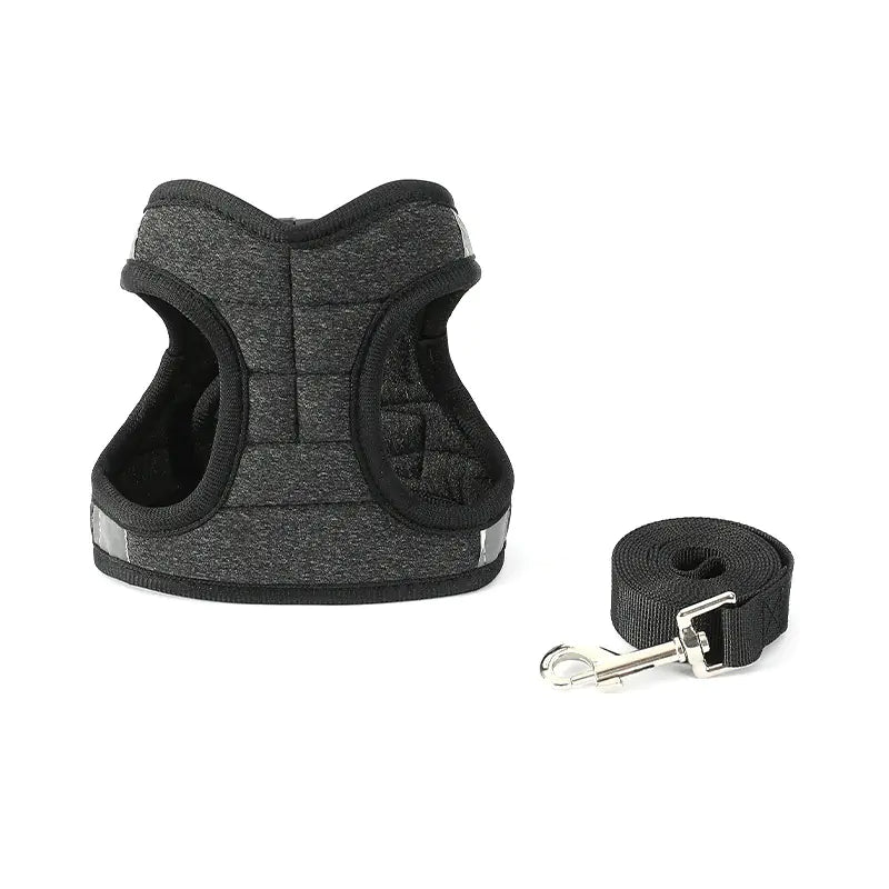 Fashion Dog Walking Chain Leash